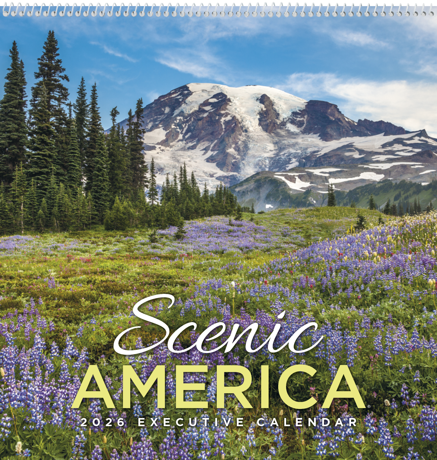 HotLine® Products Scenic America® Executive 15
