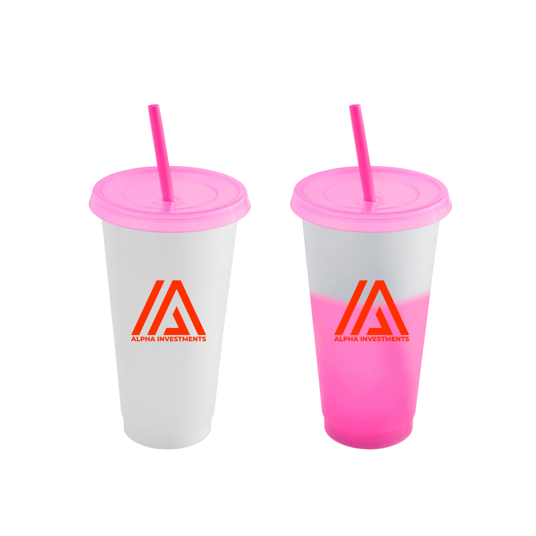 The Transform Cup 2