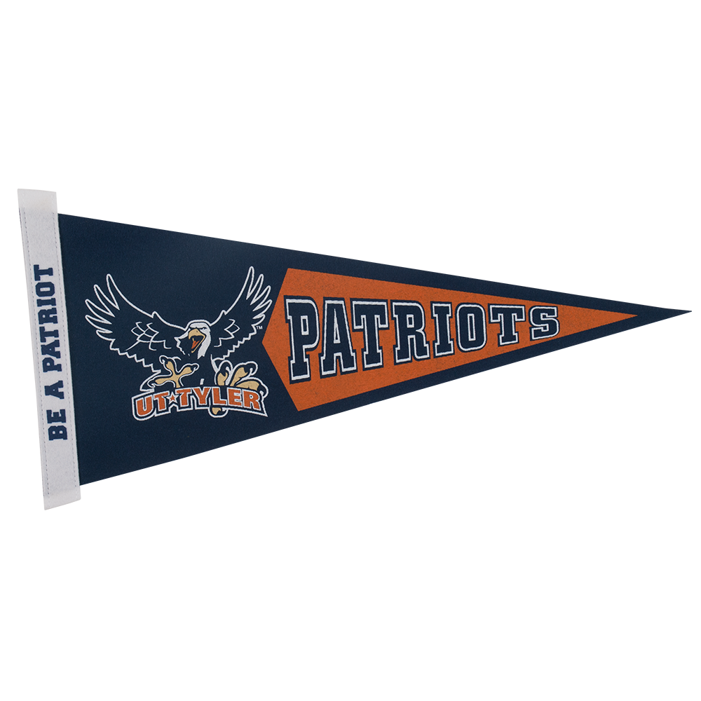 8" x 18" Colored Felt Pennant 15