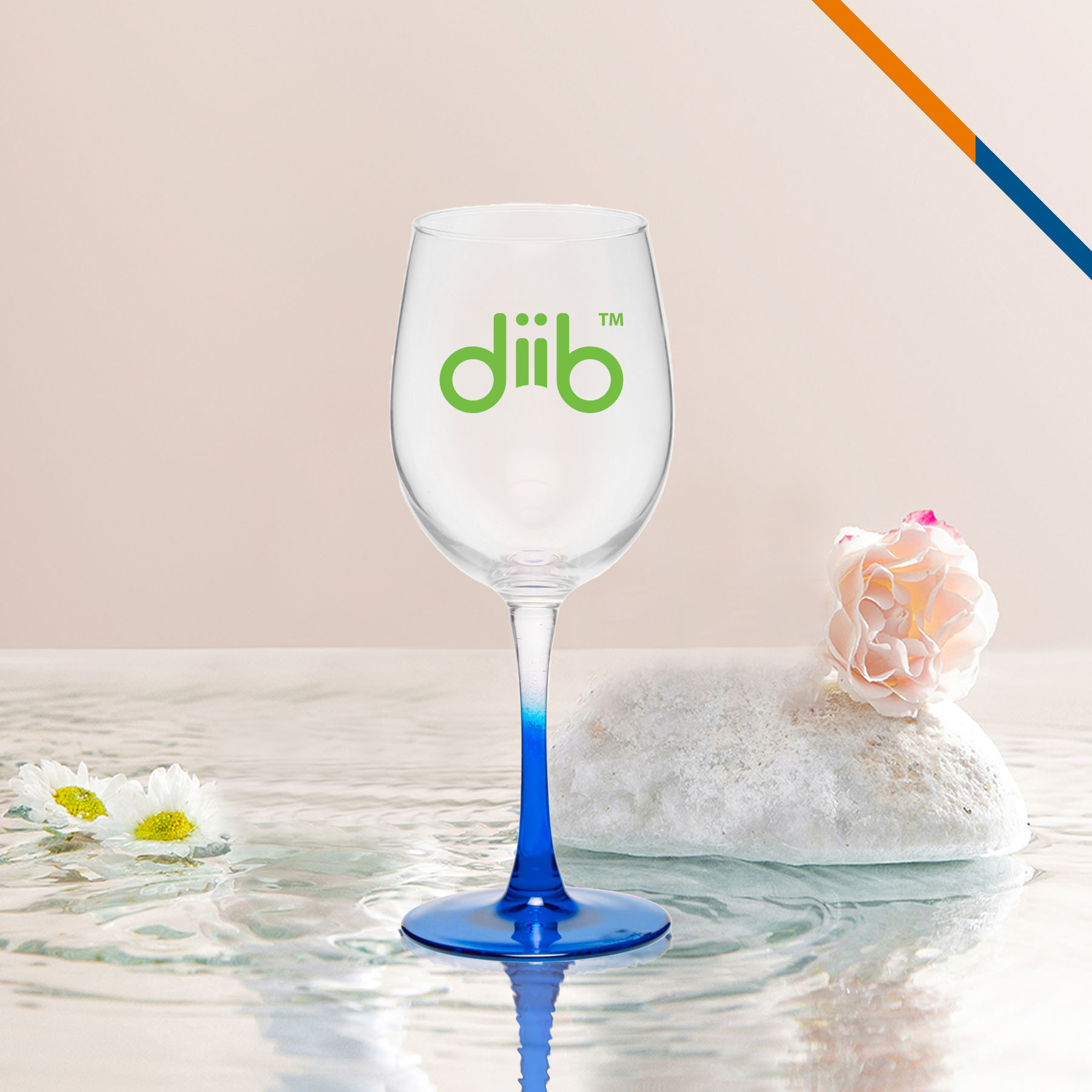Fance White Wine Glasses - 12 OZ. 8