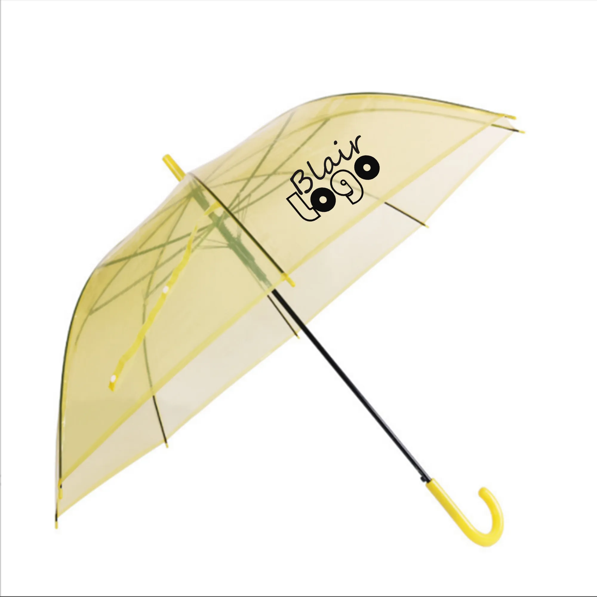 Transparent Gift Umbrella 4