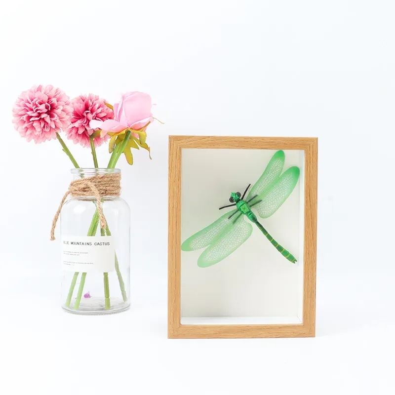 hollow glass specimen display frame 2