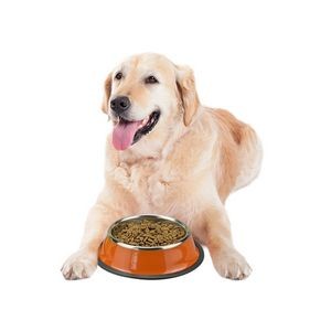 29cm Colorful Steel Pet Bowl Food Tray 13