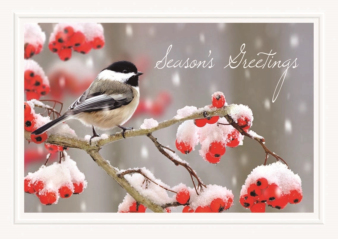 Tweet Greetings Holiday Cards 1