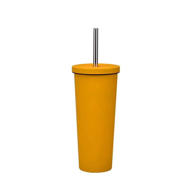 24oz Stainless Steel Double Wall Insulated Tumblers 2