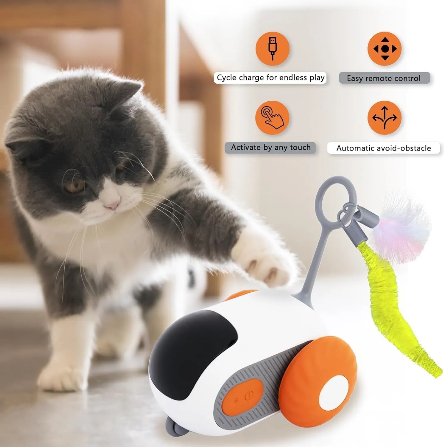 Intelligent Electric Pet Toy 4