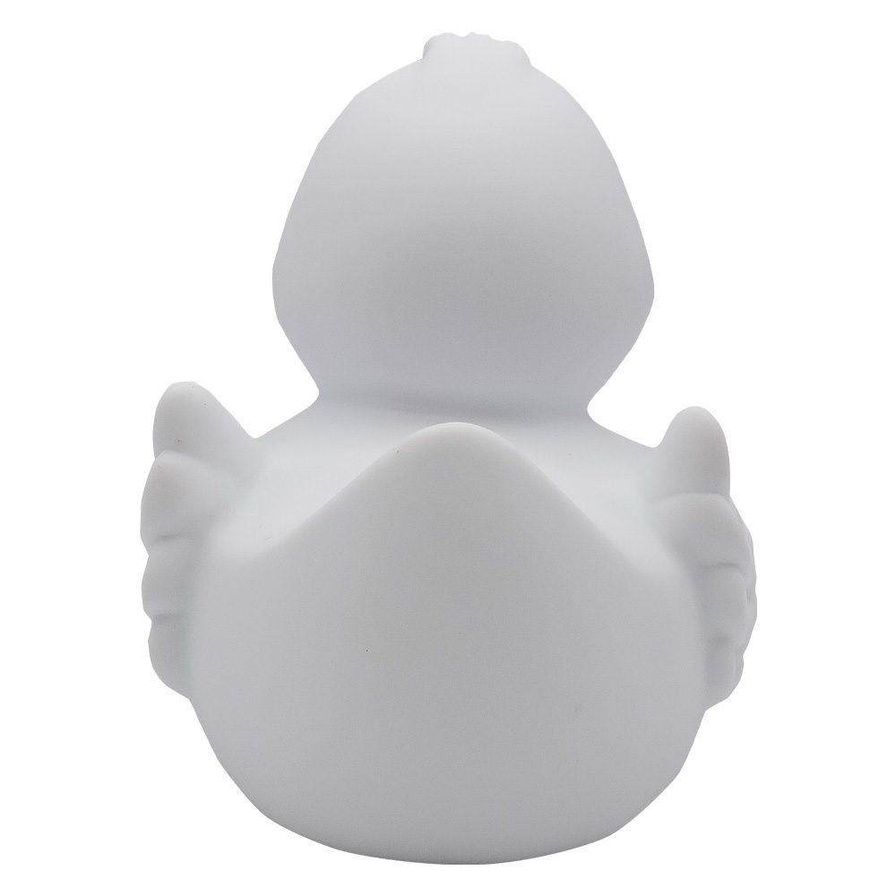 Duck With Wings 11