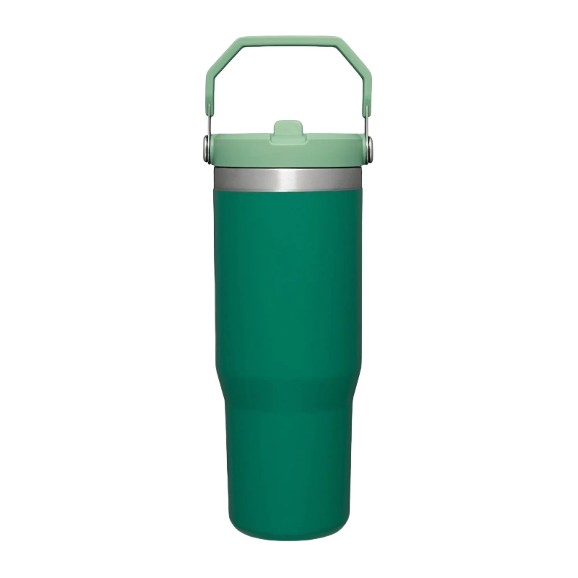 20oz Stainless Steel Tumbler Cup with Straw Leak Resistant 8