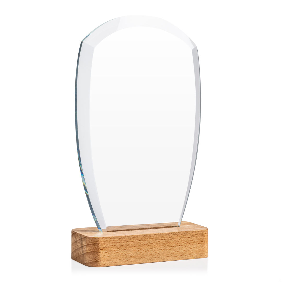 Bayshore Award 9