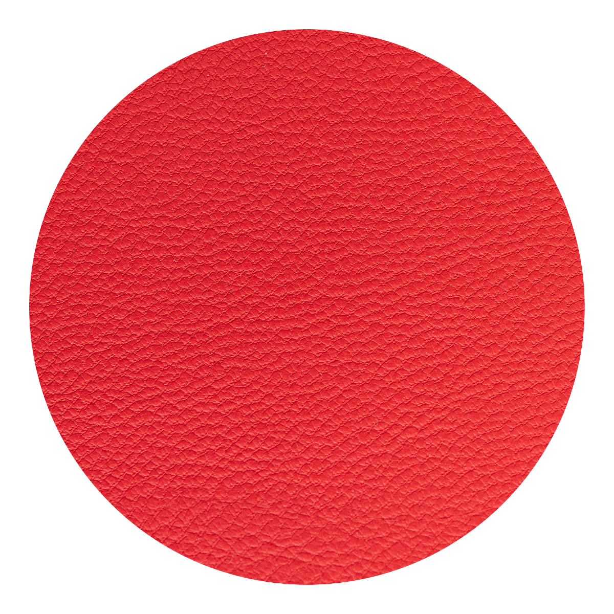 Apple Skin Journal 10