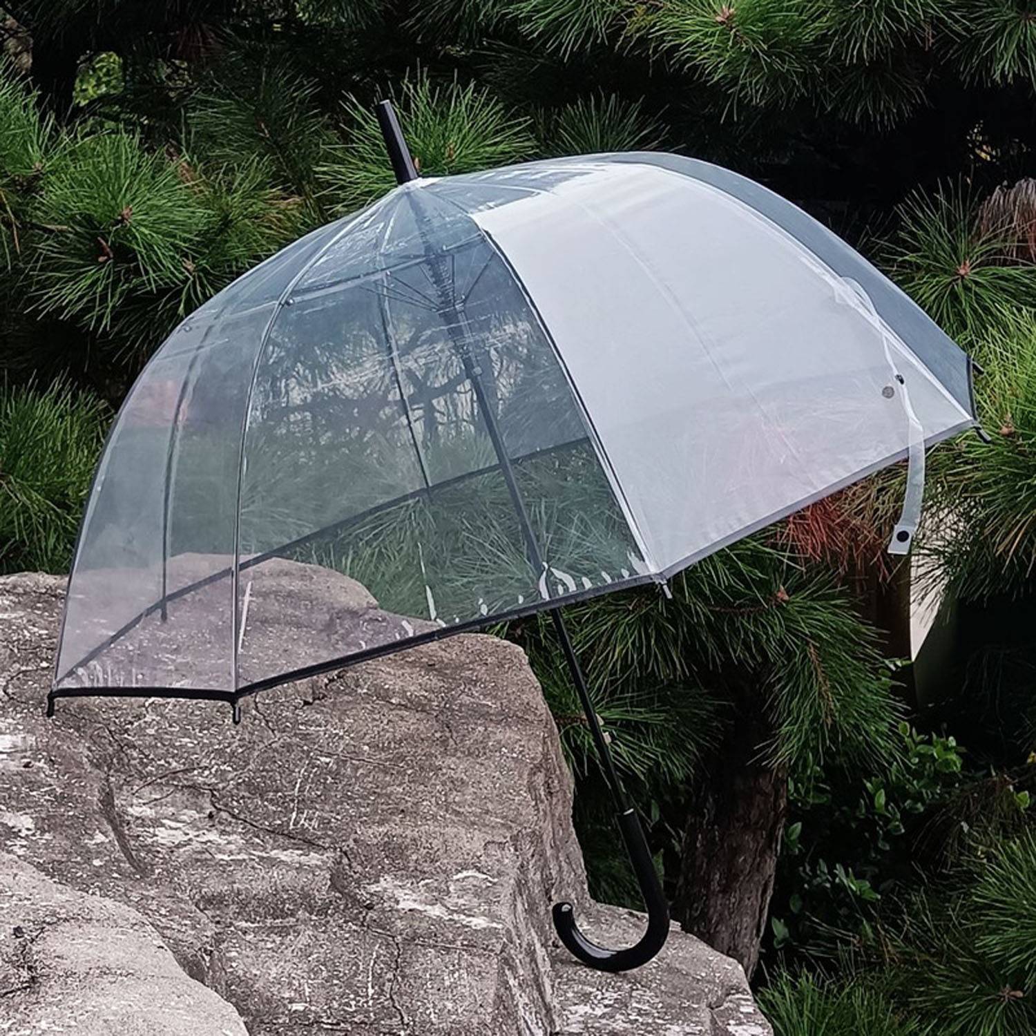 Large Auto Windproof Transparent Dome Umbrella 3
