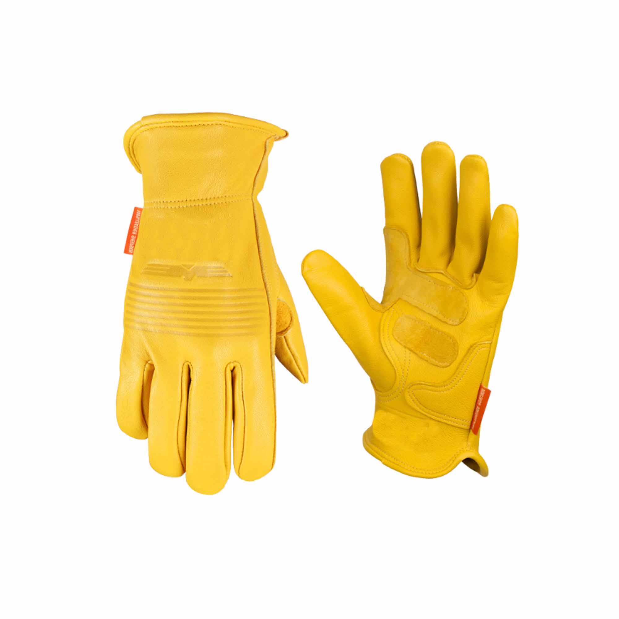 Glove 1