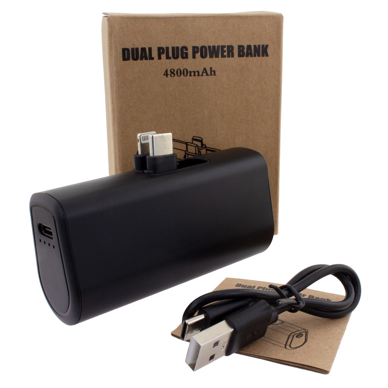 Dual Plug Power Bank 10
