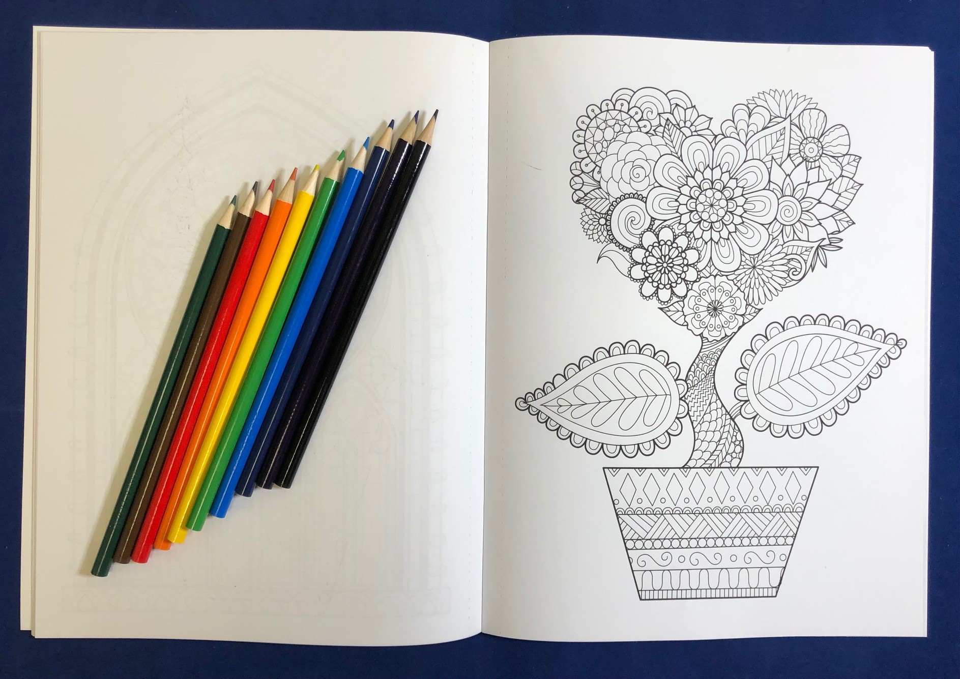 Relax Pack: Brighter Minds - Adult Coloring and Large Print Puzzle Book Combo with Colored Pencils 3