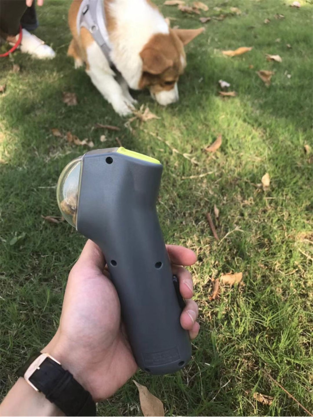 Pet Treat Launcher 1