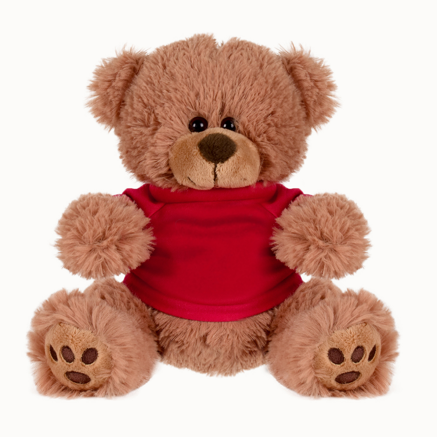 Plush Bear w/ Embroidered Paws and T-Shirt 5