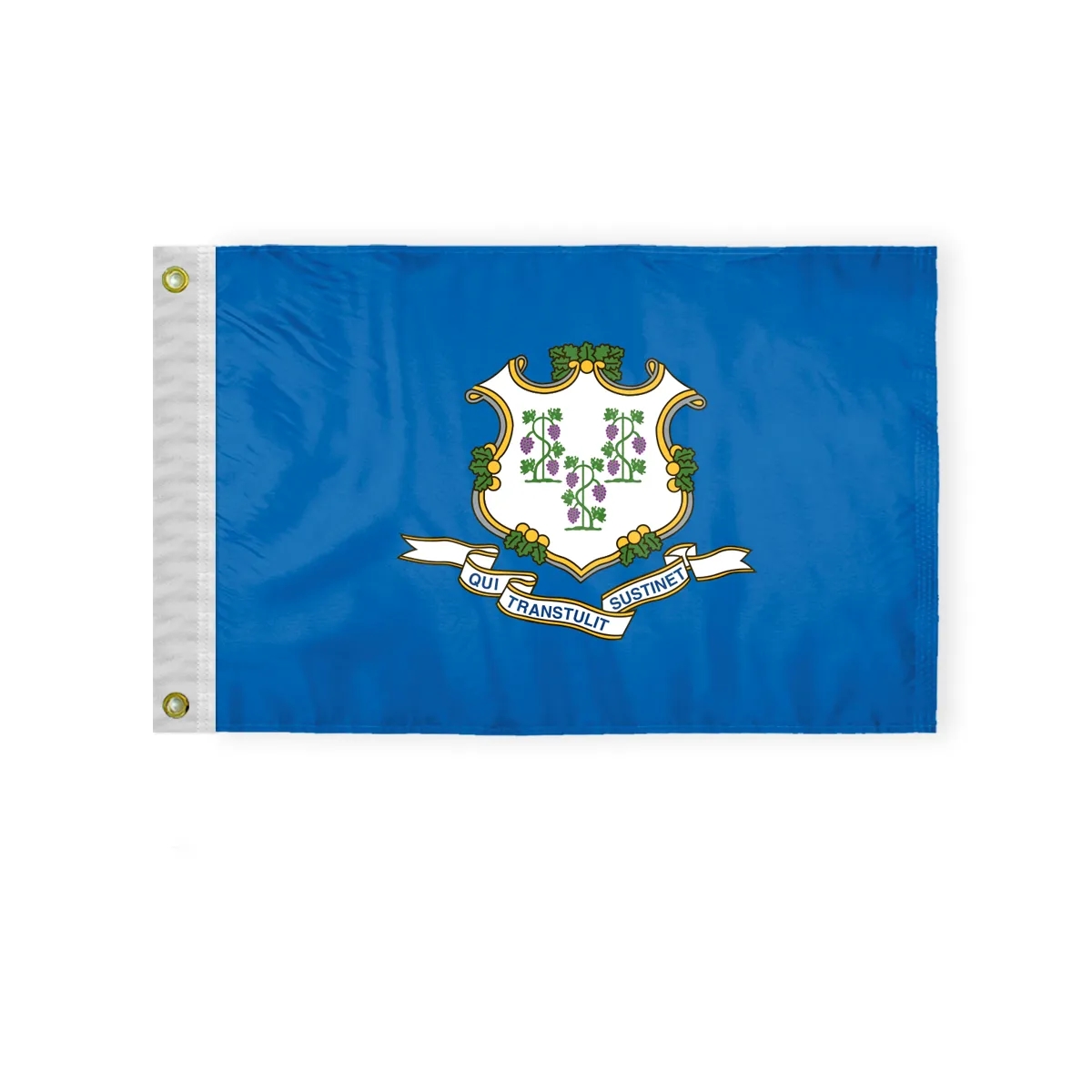 12"x18" to  8'x12'  Connecticut Nylon Flags 3