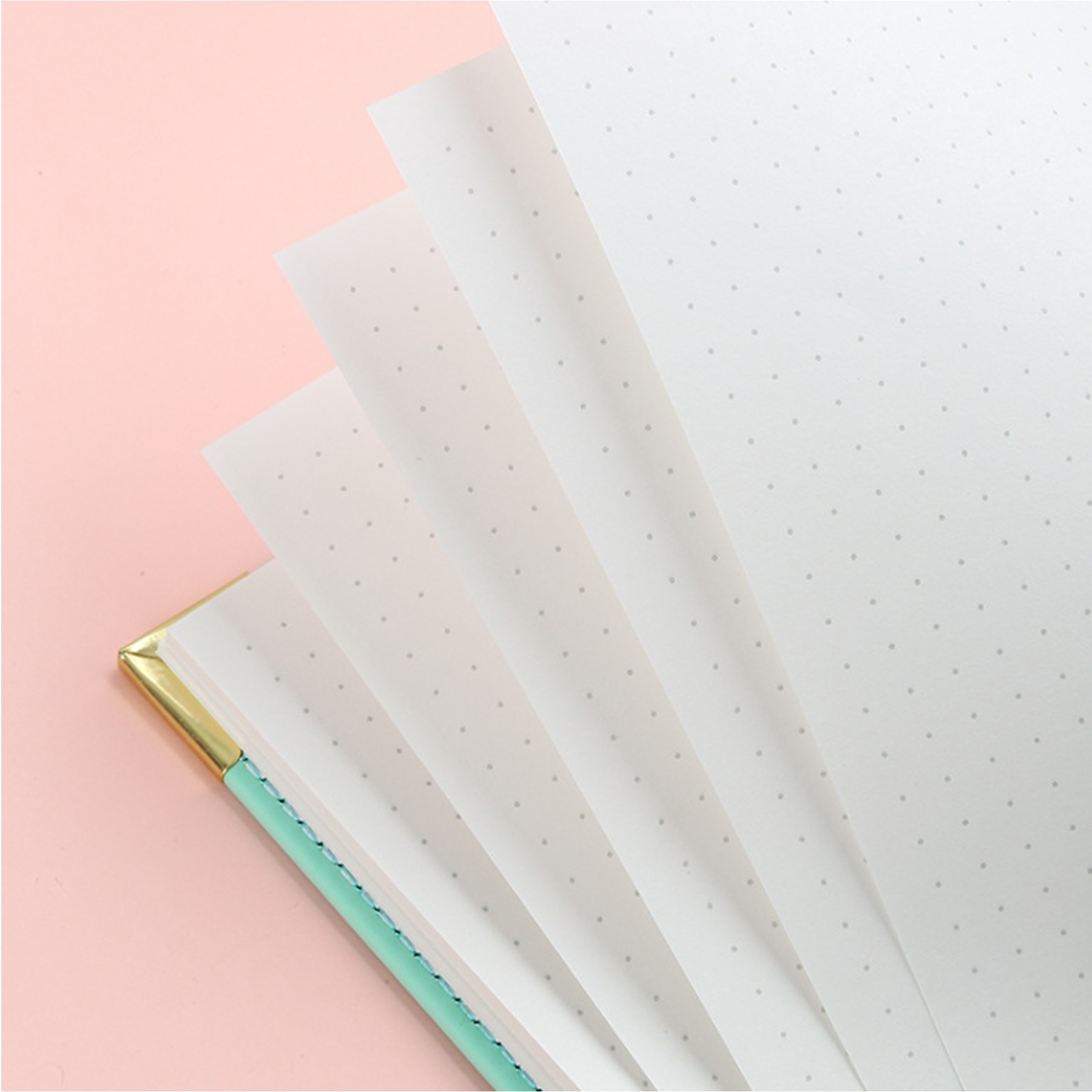 Spiral Notebook 5