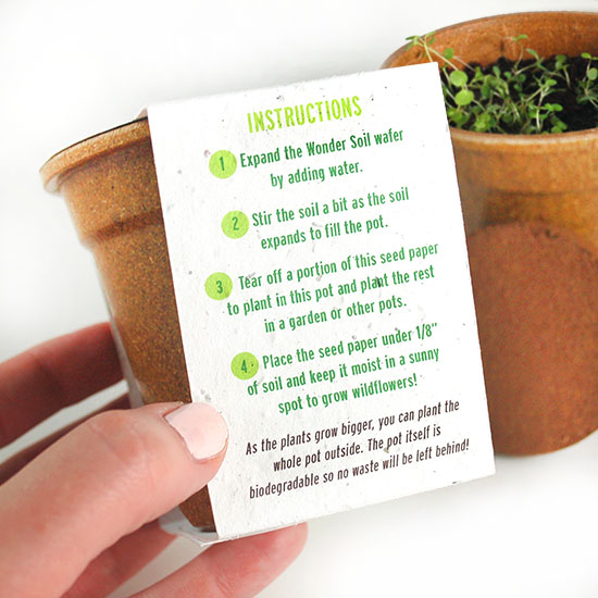 Wildflower Seed Paper Sprouter Kits 7