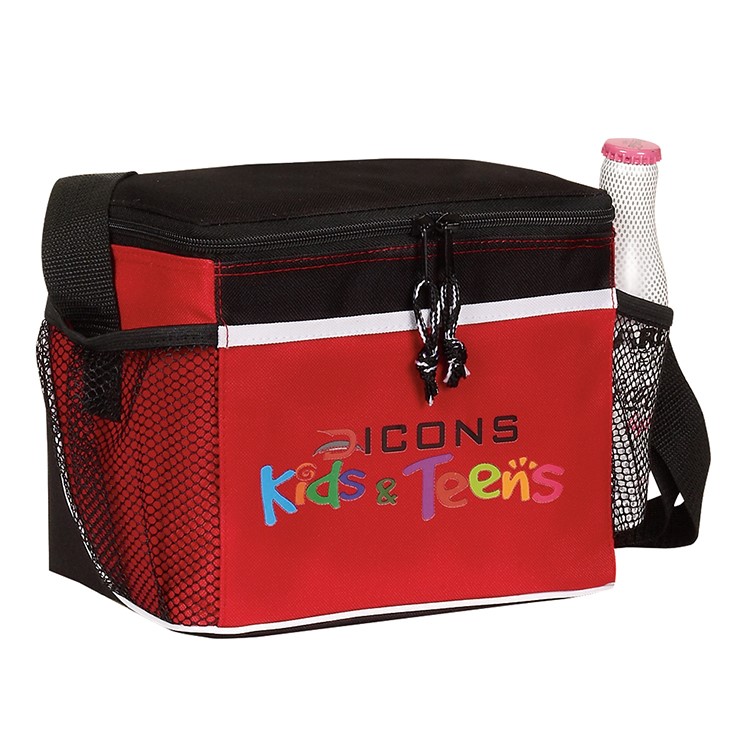 Spectrum Frosted Insulated 6 Pack Cooler 3