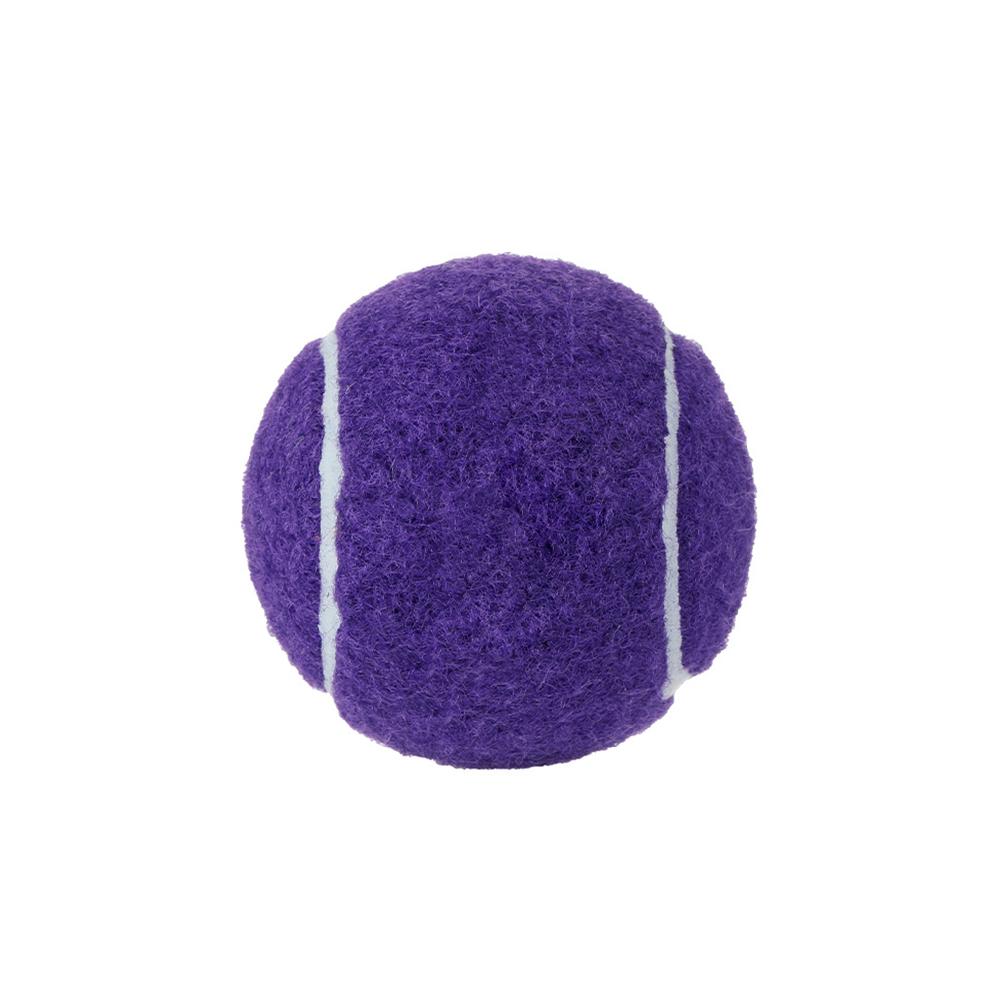 Pet Training Tennis Ball 2.5" Diameter 13