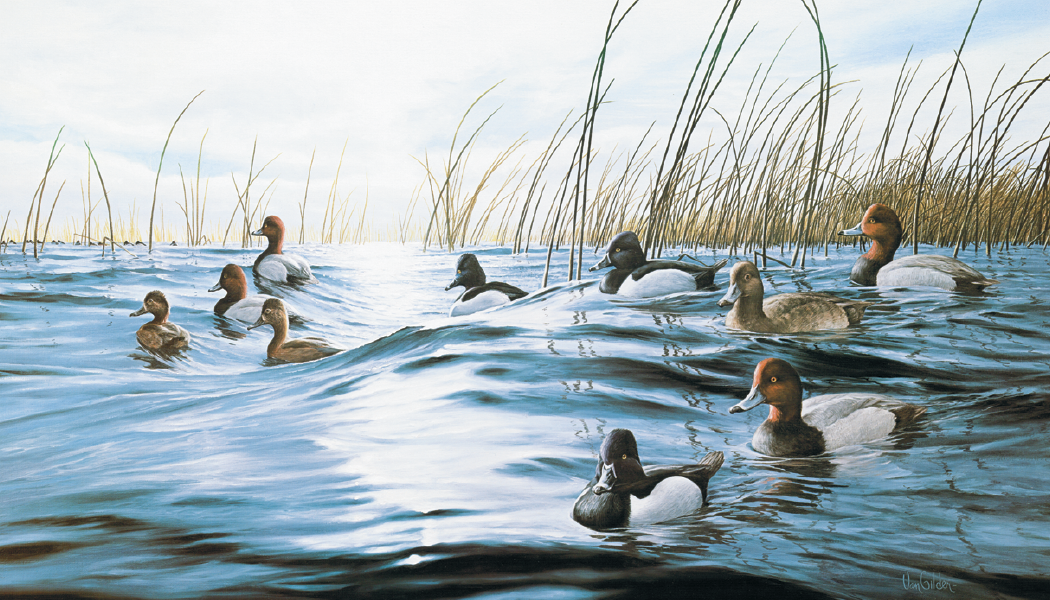 Triumph® Calendars North American Waterfowl Calendar 7