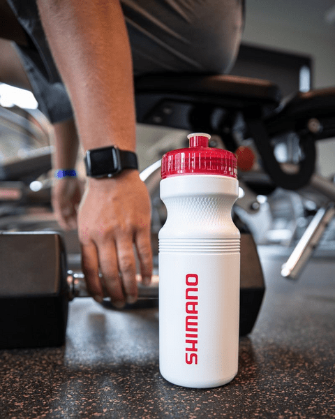 ACCONA 24 oz. PET Sports Bottle with Push/Pull Lid 29