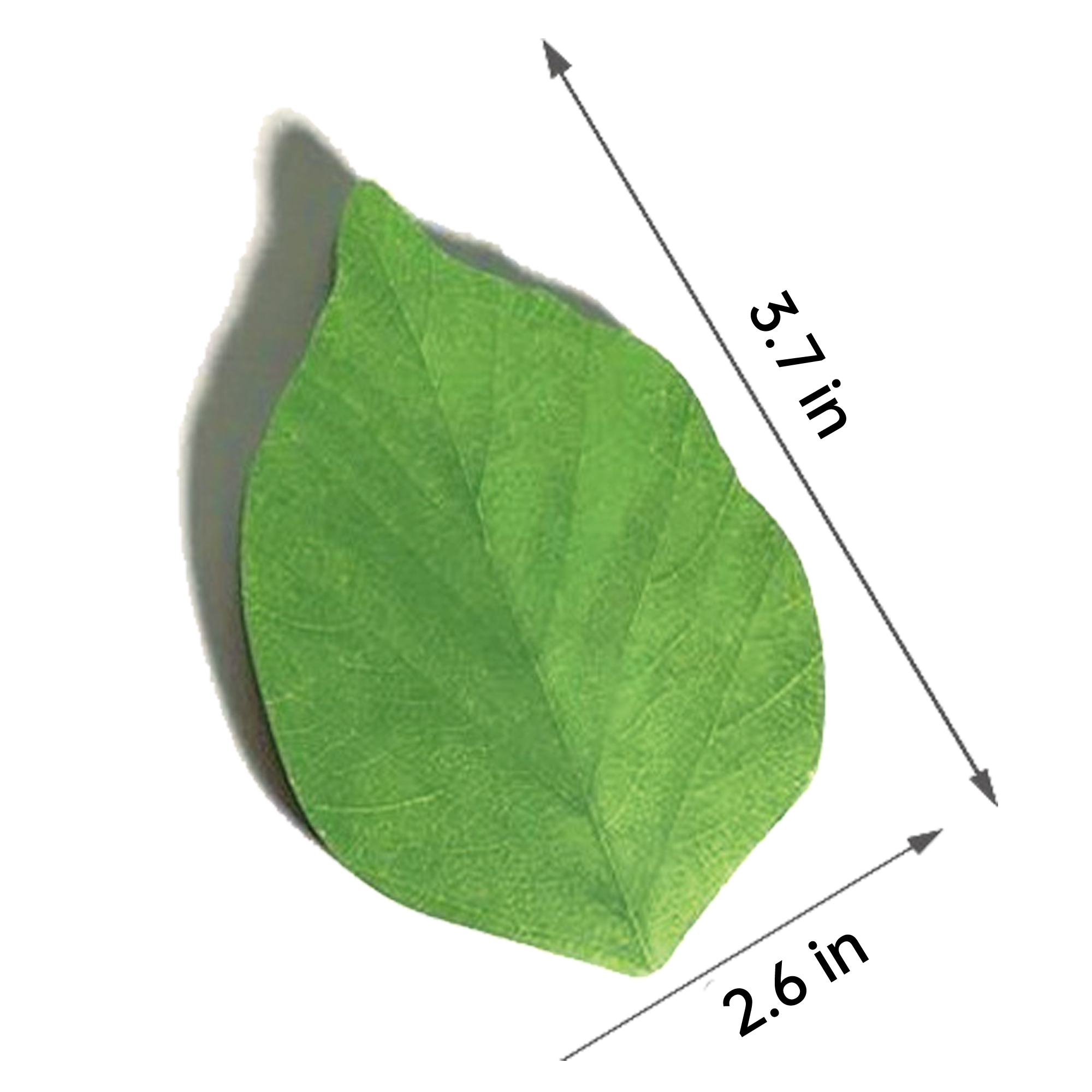 Leaf Sticky Notes Memo Pad Paper