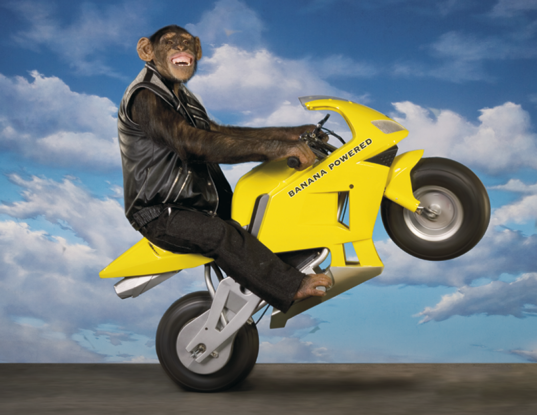 Triumph® Calendars Monkey Business Calendar 38