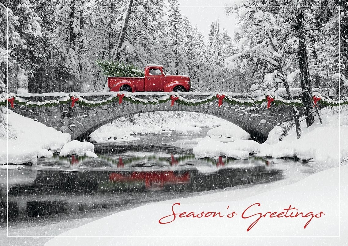 Homeward Bound Holiday Cards 1
