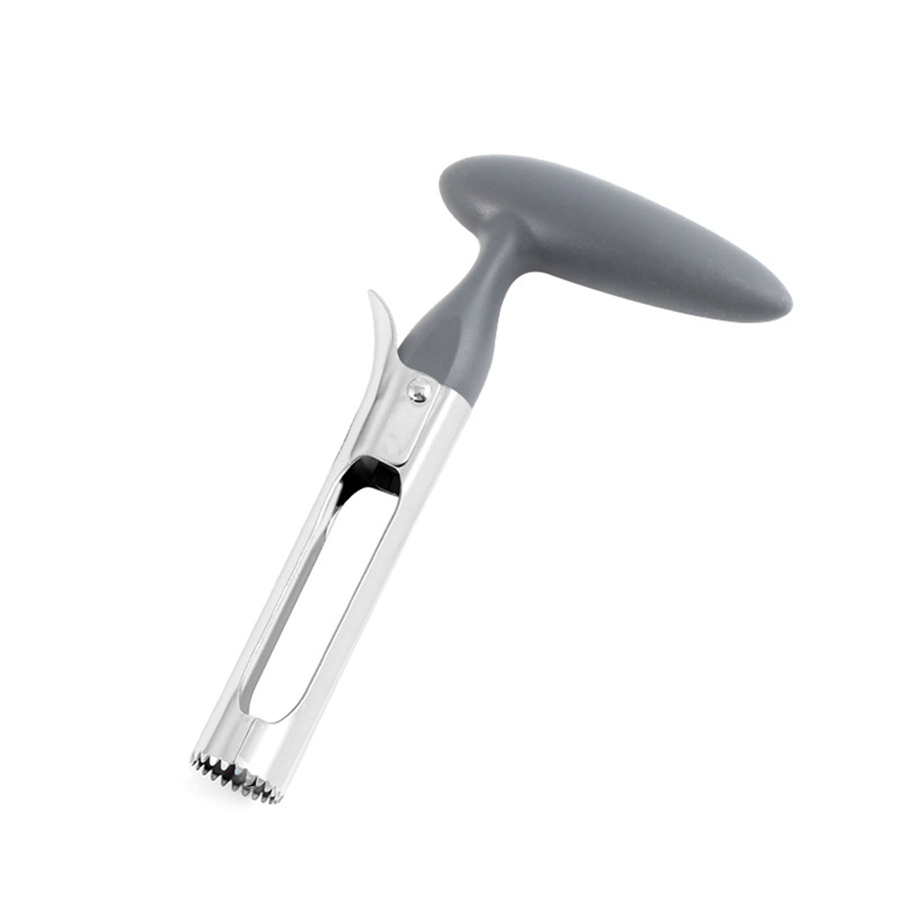 Fruit Seed Remover 1