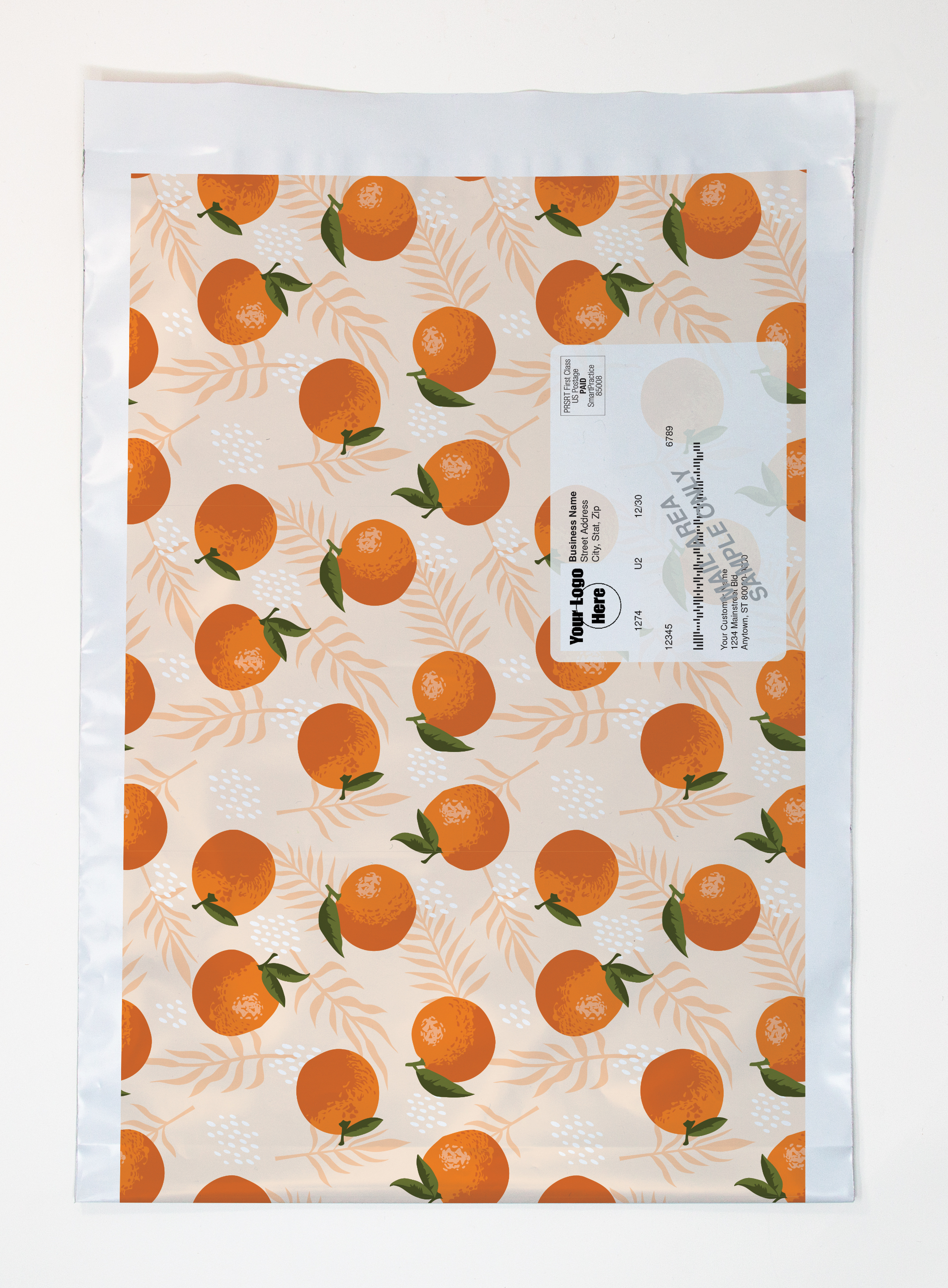 Variable Addressing Expandable 2-Sided Poly Mailer Full Color (9.75" x 12" x 4") 6