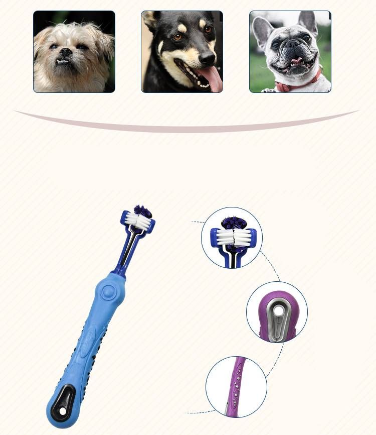 Pet Toothbrush 2