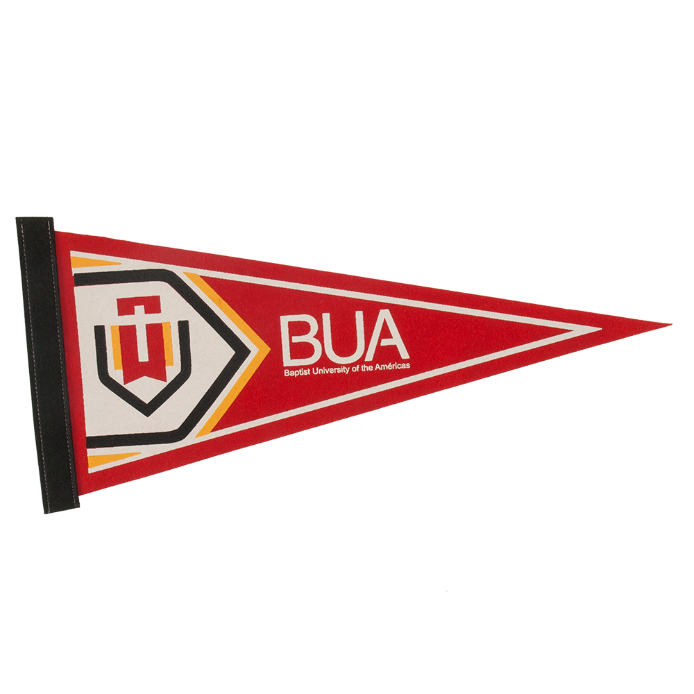 8" x 18" Colored Felt Pennant 8