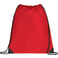 Large Oriole Drawstring Bag 7