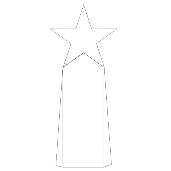 Optical Crystal Top Star Awards 3