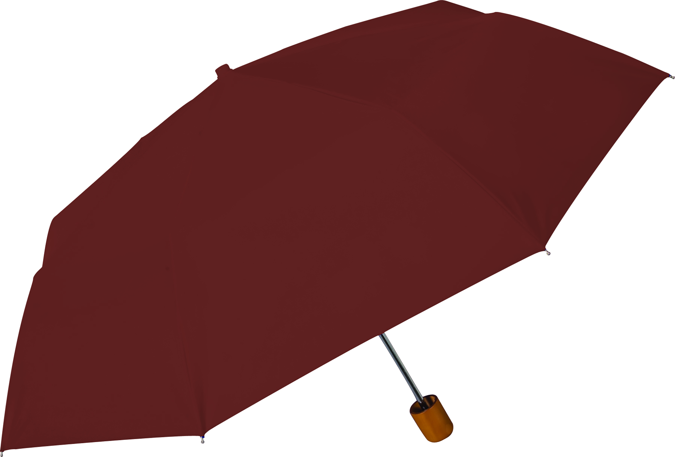 Classic Mini Umbrella 1