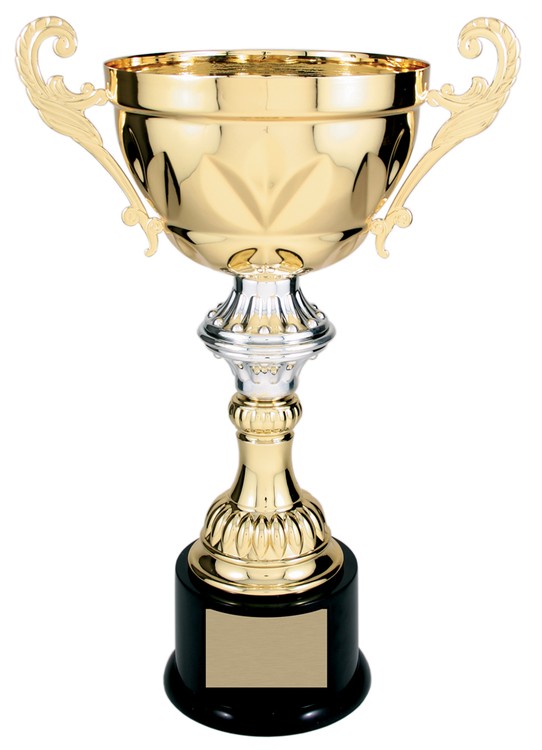 14-1/2" Tall Gold Metal Cup Trophy 2