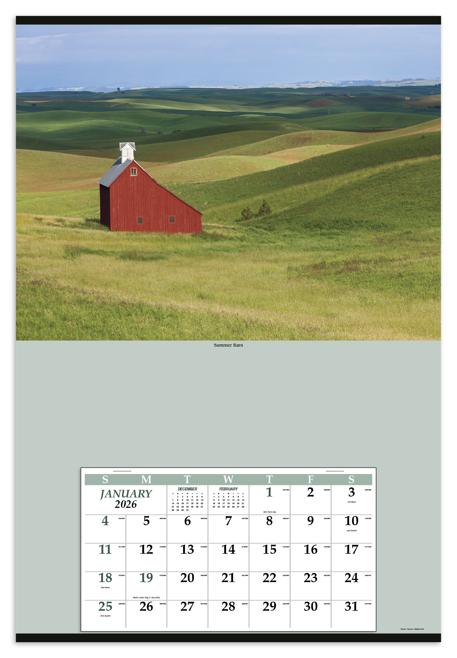 Triumph® Calendars Jumbo Hanger (12-Month) Calendar 15