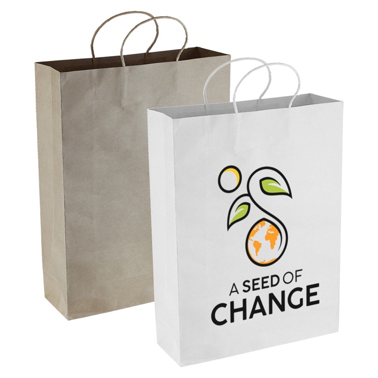 Paper Kraft Shopping Bag 2