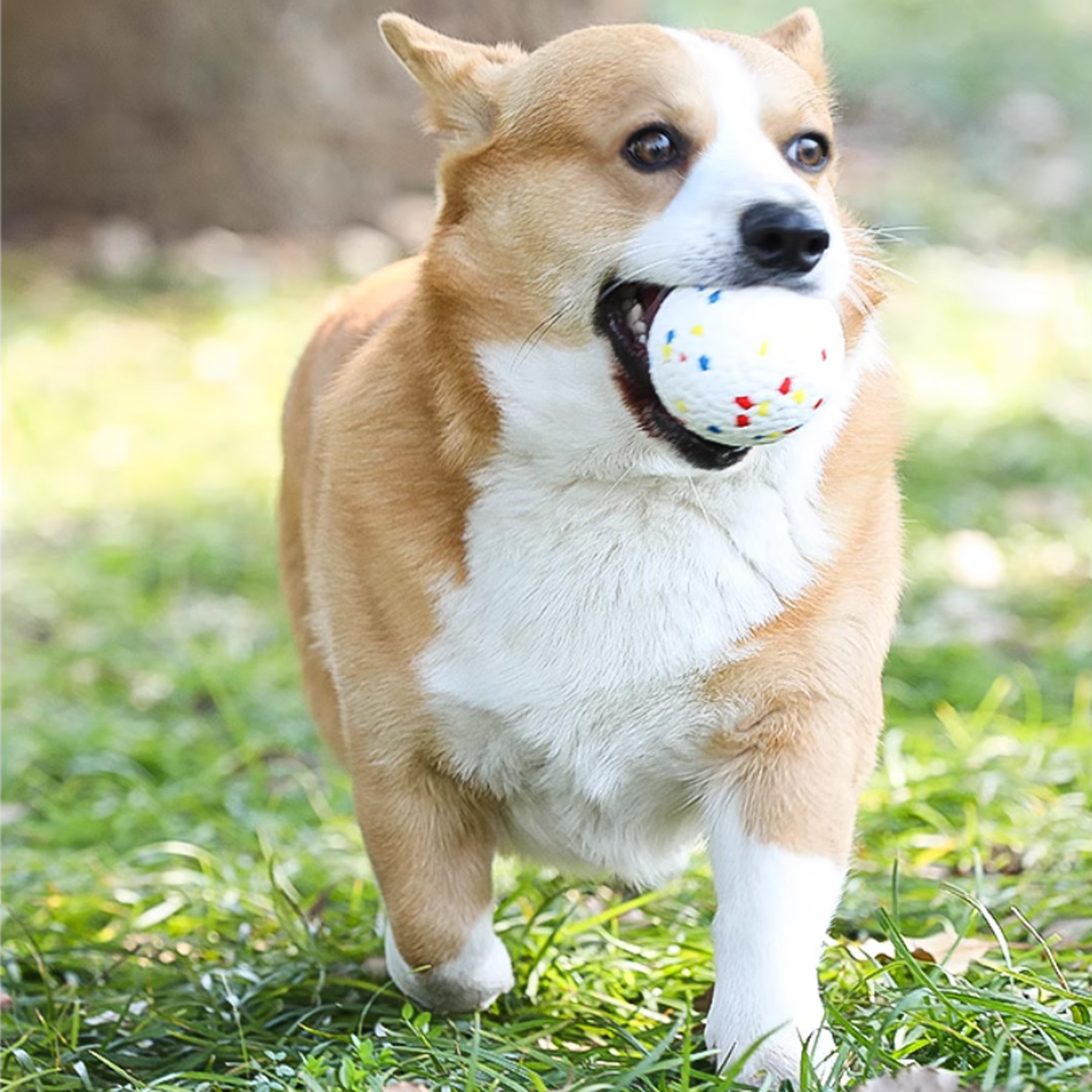 Durable Dog Toy Ball 4