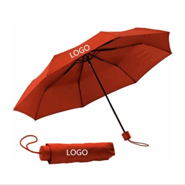 Foldable Umbrella 1