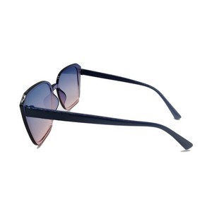 Classic Sunglasses 12