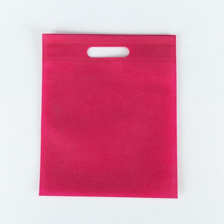 Non-Woven Shopping Bag 6
