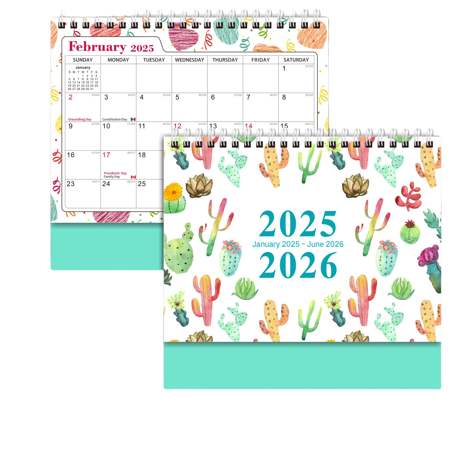 18 Months 8"*3"*7" Cactus Desk Calendar From Jan 2025 To June 2026 1