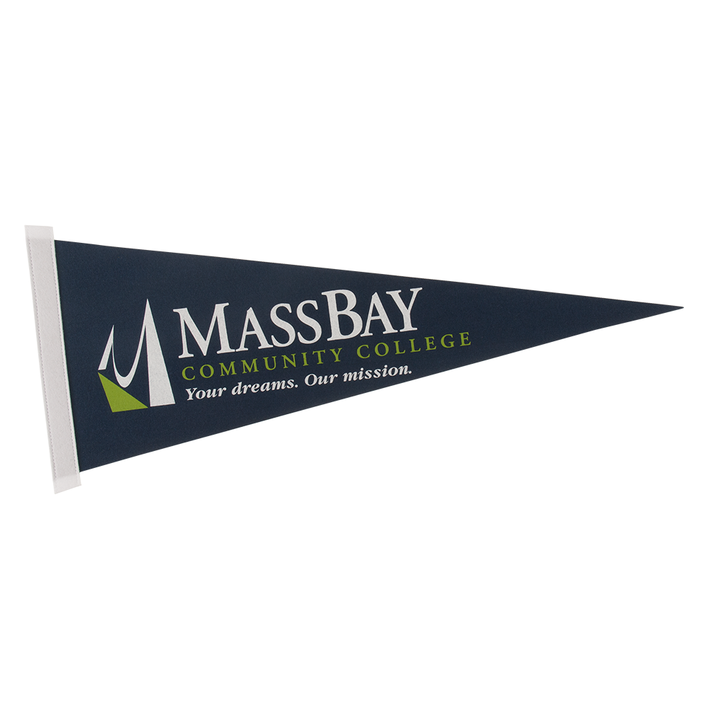 9" x 24" Colored Felt Pennant 2