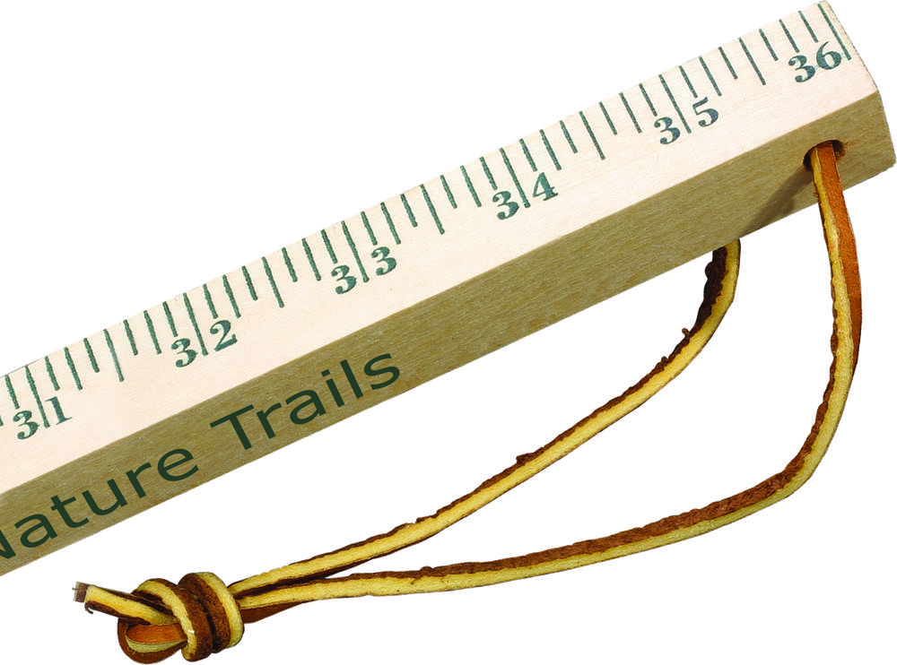 Walking Sticks - Natural Finish 2