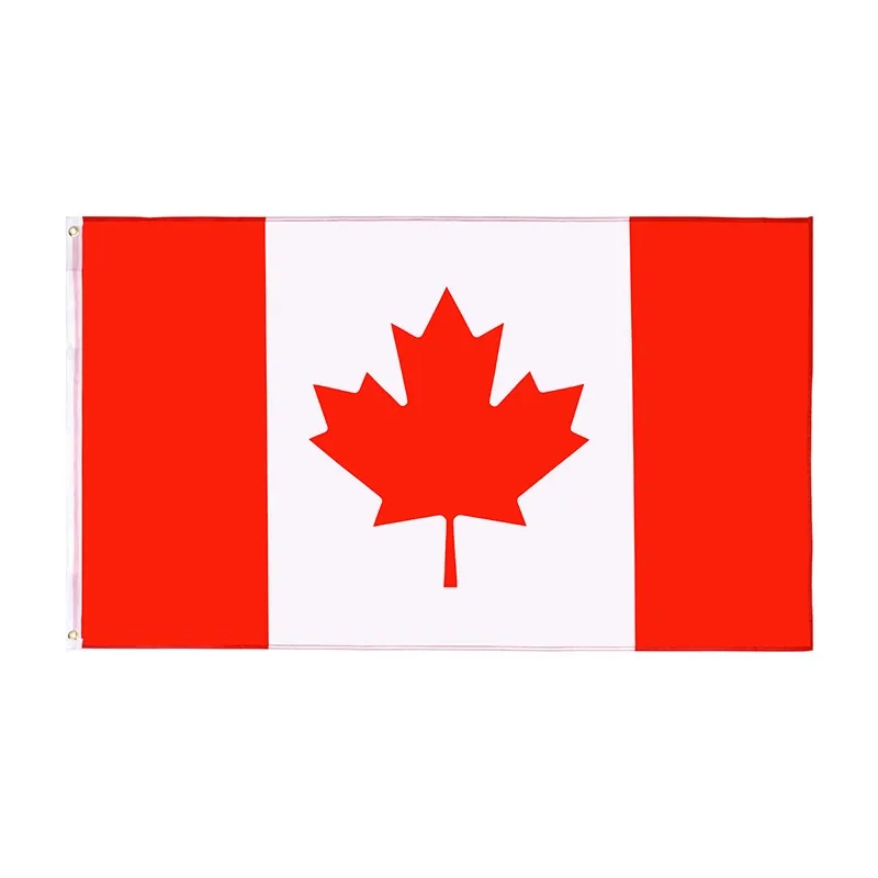 US Hand Flag 13