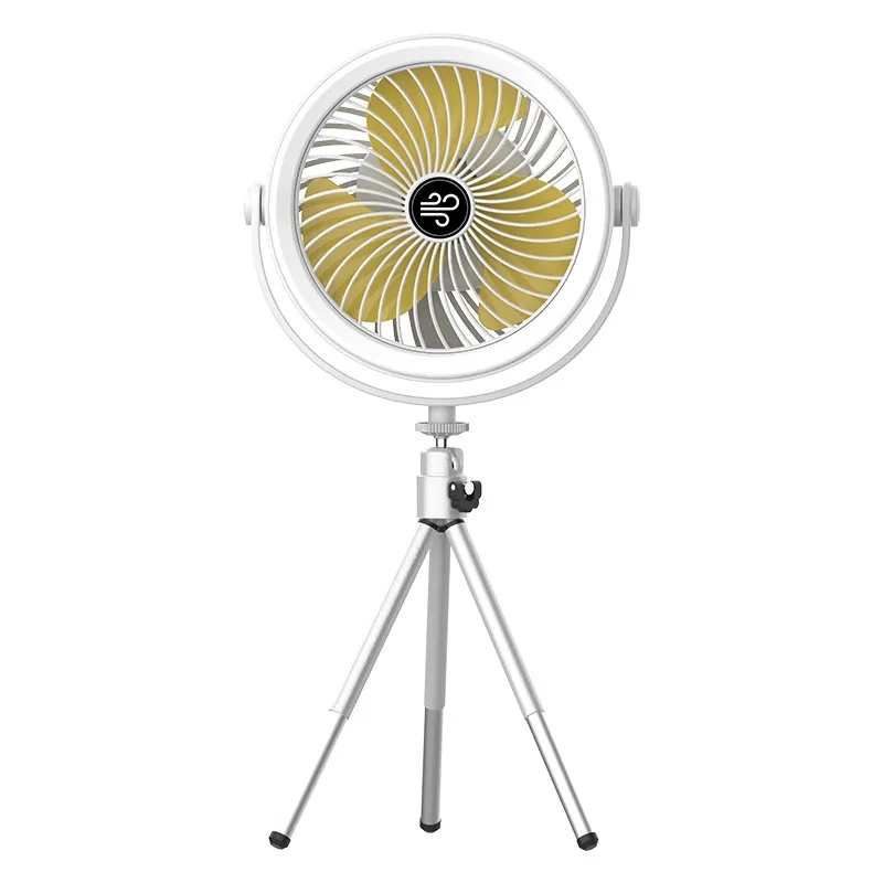 Various Styles Of Small Fans 9