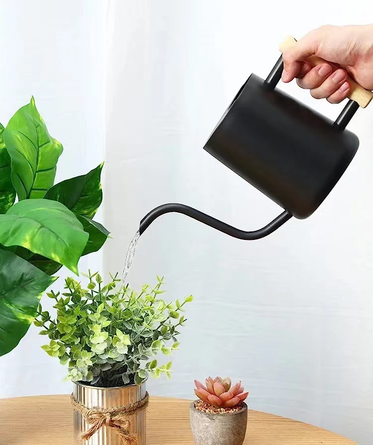 Indoor Watering Can with Long Spout 4